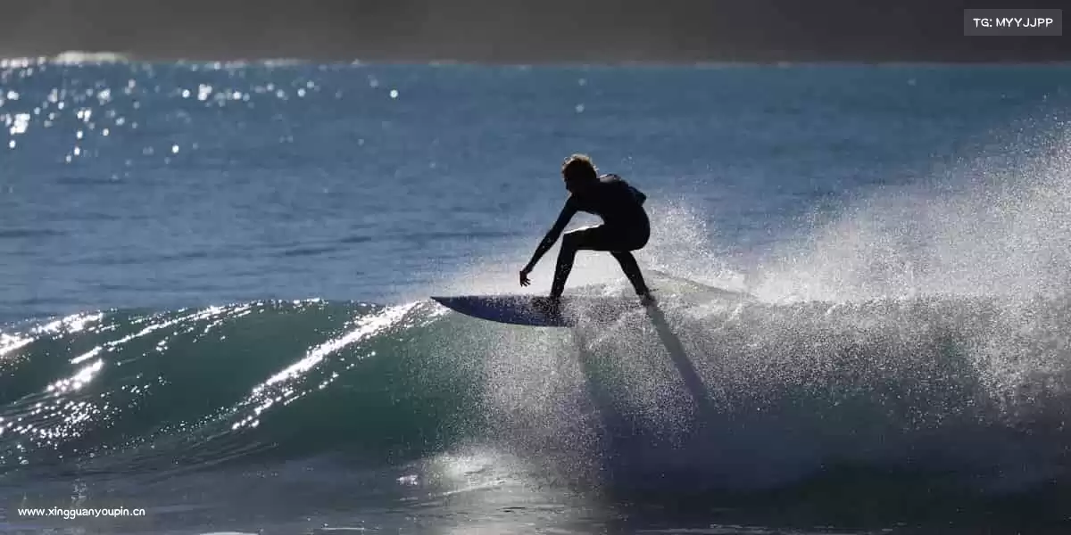 为什么选择我们